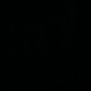 Meet your Posher, Carson